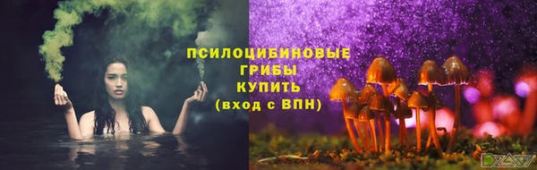 шишки Дмитров